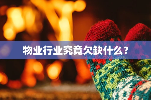 物业行业究竟欠缺什么？