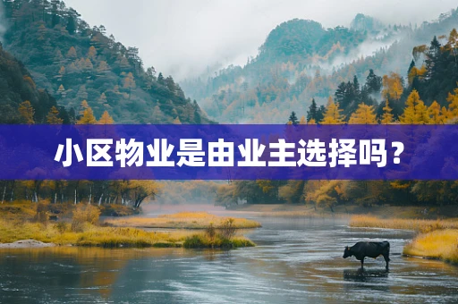 小区物业是由业主选择吗？
