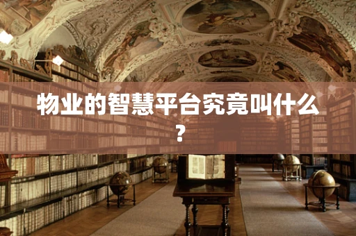 物业的智慧平台究竟叫什么？