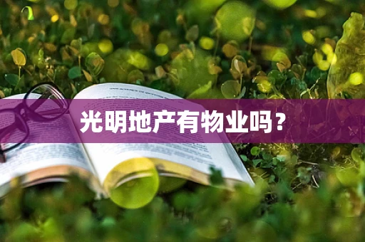 光明地产有物业吗？
