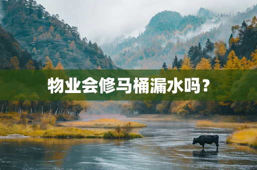 物业会修马桶漏水吗？