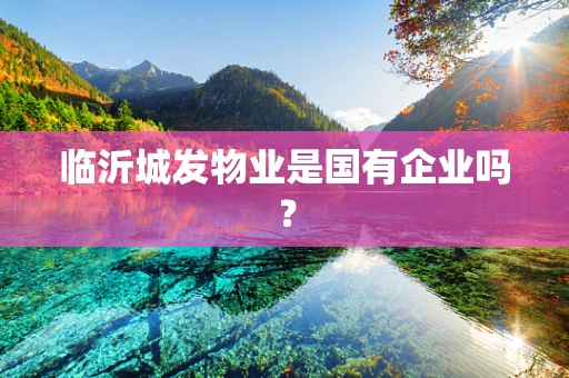 临沂城发物业是国有企业吗？