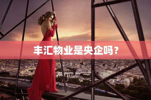 丰汇物业是央企吗？