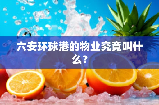 六安环球港的物业究竟叫什么？