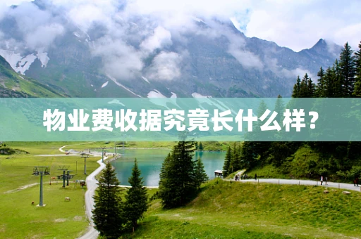 物业费收据究竟长什么样？