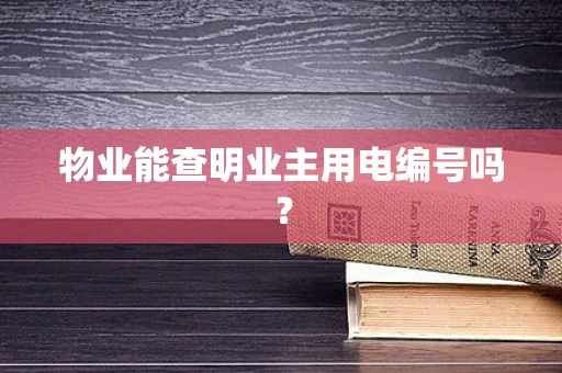 物业能查明业主用电编号吗？