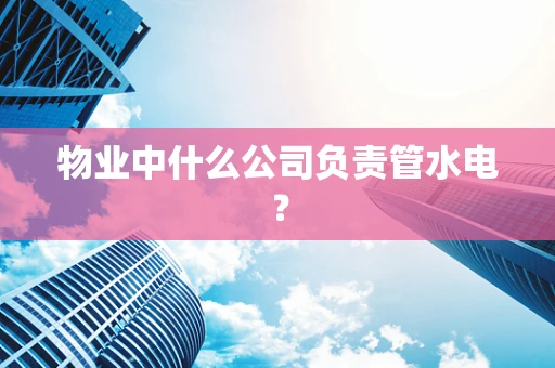 物业中什么公司负责管水电？