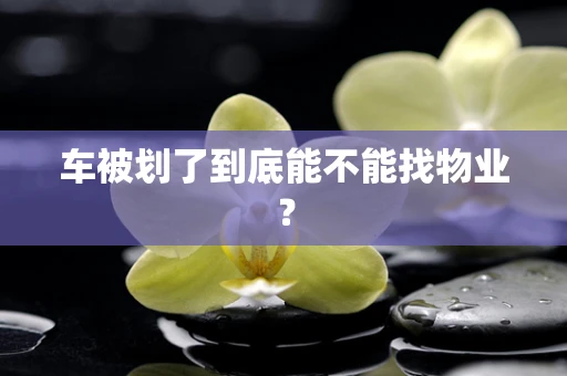 车被划了到底能不能找物业？