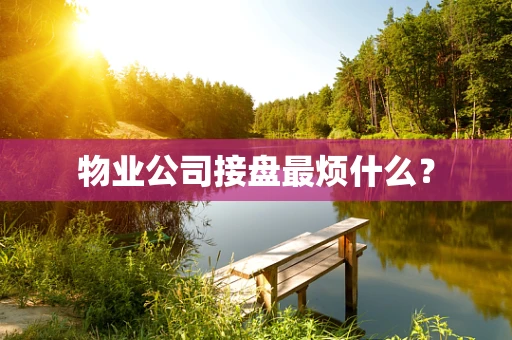 物业公司接盘最烦什么？