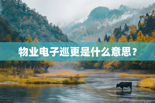 物业电子巡更是什么意思？