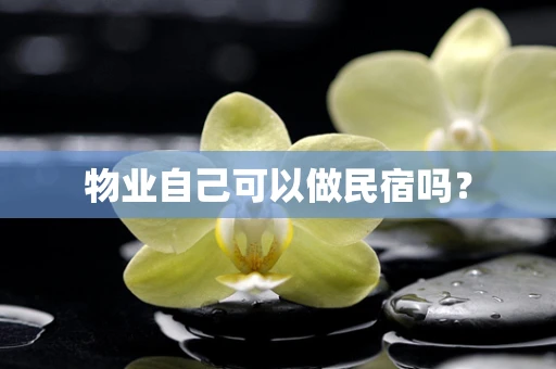 物业自己可以做民宿吗？