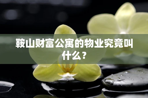 鞍山财富公寓的物业究竟叫什么？
