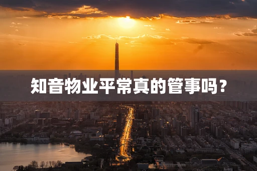 知音物业平常真的管事吗？