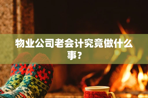 物业公司老会计究竟做什么事？