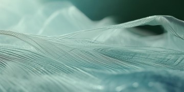 个人能和物业解约吗？