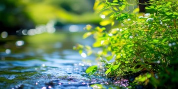 芜湖九里香溪究竟是什么物业？